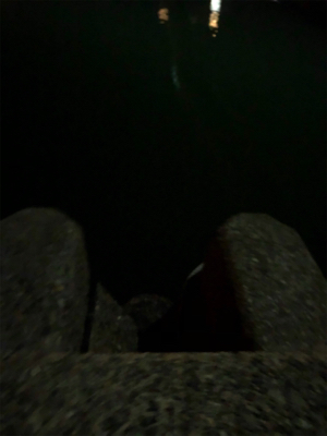 ナイトアジング