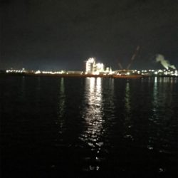 癒しのガシリング(^^)