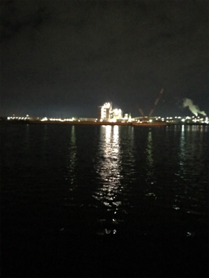 癒しのガシリング(^^)