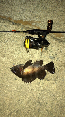 良型が入れ食い!!