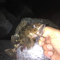 岩屋ライトゲーム