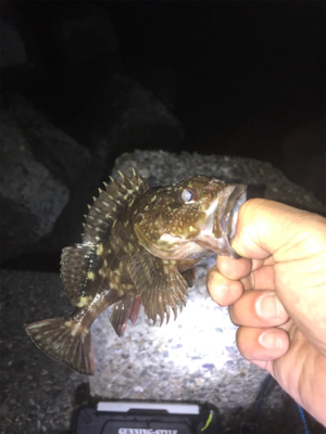 岩屋ライトゲーム