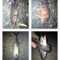 渋いと思いきや…パターン発見!