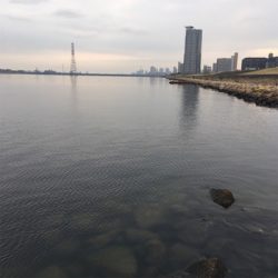 淀川ブリームゲーム 2019年初キビレ