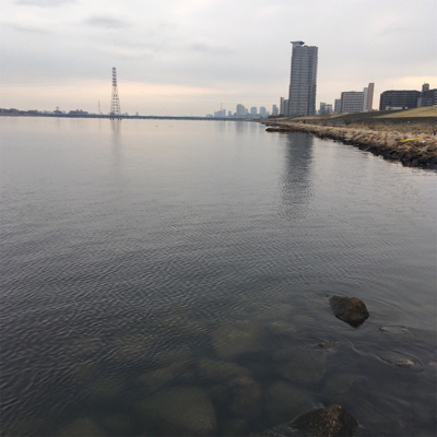 淀川ブリームゲーム 2019年初キビレ