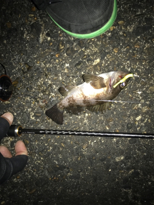 エステルジグ単ゲーム