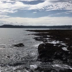 暖かくなってきた朝マズメ