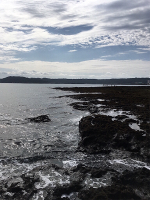 暖かくなってきた朝マズメ