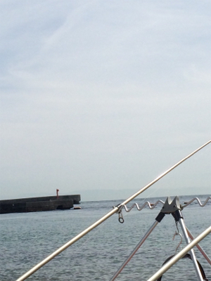 この時期に投げでカワハギ