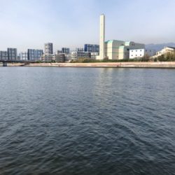 キセキ 4戦3勝 4枚