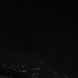 アジングのはずが