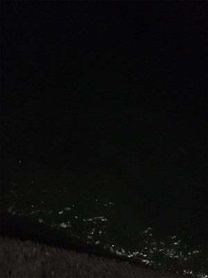 アジングのはずが