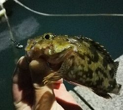 2019年3月24日in岐志漁港