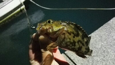 2019年3月24日in岐志漁港