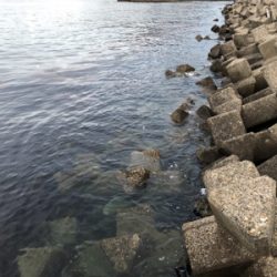 雨のライトゲーム