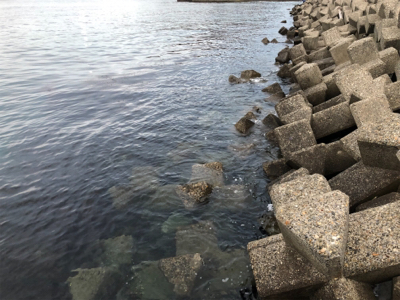 雨のライトゲーム