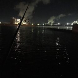 寒い中、3種目GET (^^)