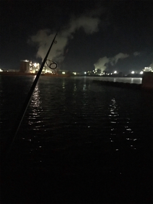 寒い中、3種目GET (^^)