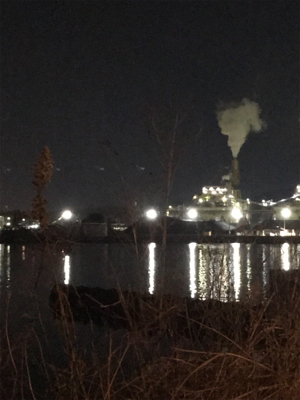 BIGガシラGET (^^)v