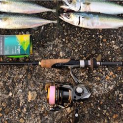 短時間サバサバサバっ！