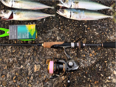 短時間サバサバサバっ！