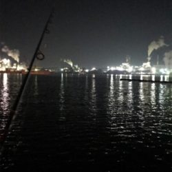 安定のガシリング(^^)