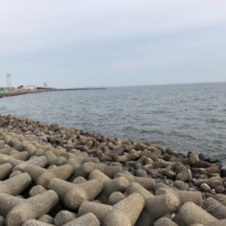 デイ&ナイトで1日フル釣行