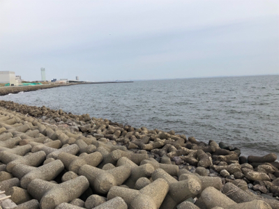 デイ&ナイトで1日フル釣行