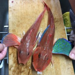 マイボートでタイラバ釣行