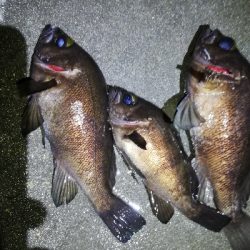 ライズ撃ち3連発