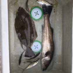 タイラバ 泳がせ