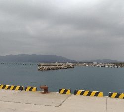 3/30釣果 マトウダイチヌアジカタクチオジサン