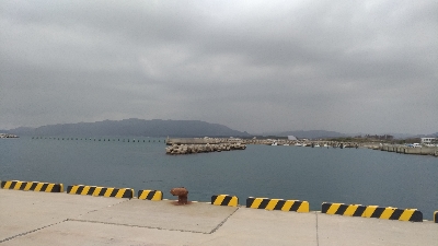 3/30釣果 マトウダイチヌアジカタクチオジサン