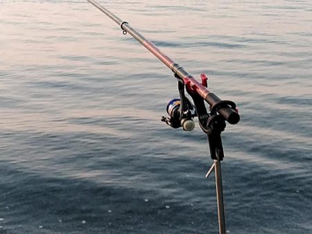 サーフで　大型アオリイカゲットできました!!