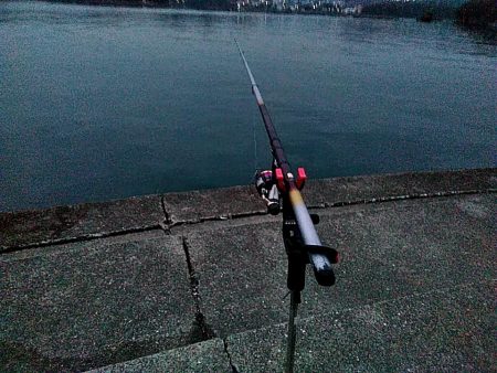 アオリイカ1杯確保です!!