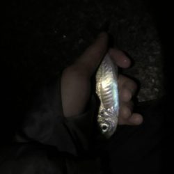 ちびっ子たくさん