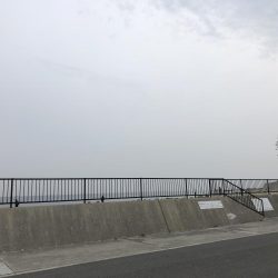 サバのナブラすごい!