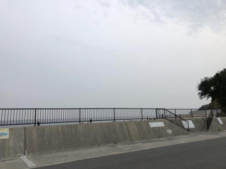 サバのナブラすごい!