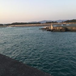 暖かくなってきた