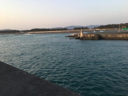 暖かくなってきた