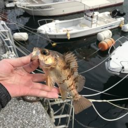 デイアジング…？