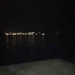 プラグでのメバル