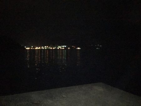 プラグでのメバル