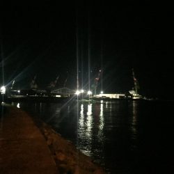 出張先の楽しみ⑤