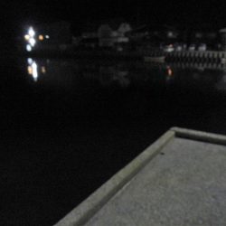 良い引きでした