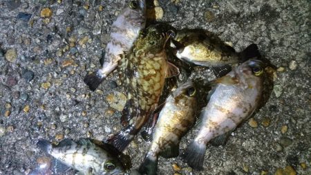 今夜は厳しい戦い！！