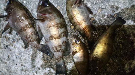 今夜は何でもあり？！