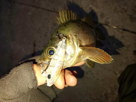 なかなか乗らない