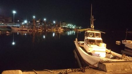 藻だらけ、、、