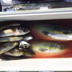 ジギング釣り果